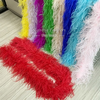 Latin dress Feathers